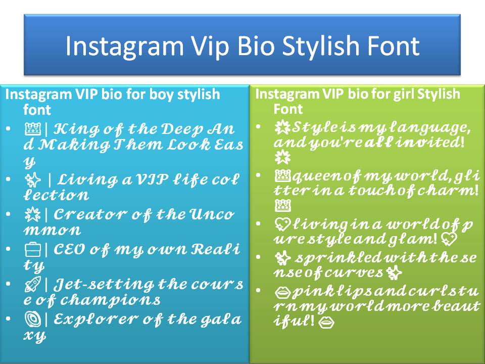 Instagram Vip bio