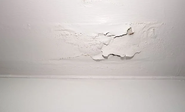 Top Causes of Residential Water Damage in New Jersey and How to Prevent Them